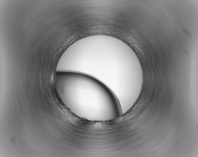X0000111600382200907161219