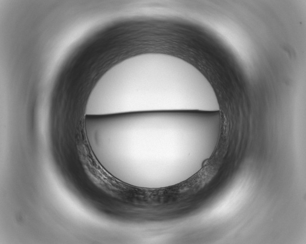 X0000111600383200907161219