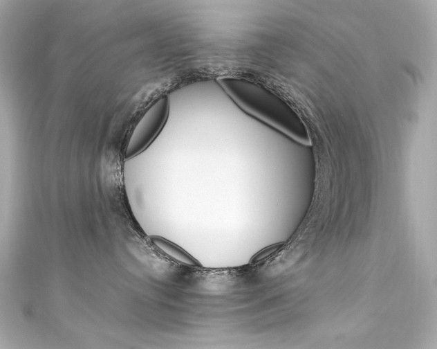 X0000111600384200907161219