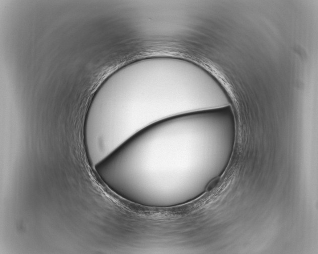 X0000111600385200907161219