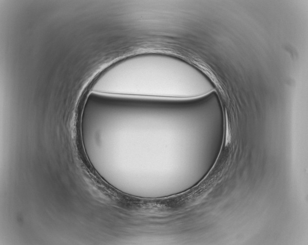 X0000111600387200907161219