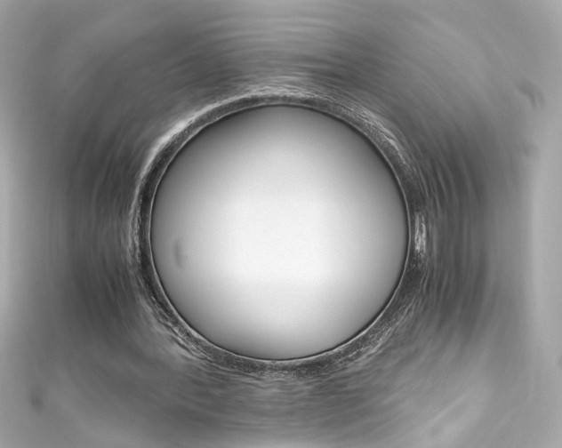 X0000111600388200907161219