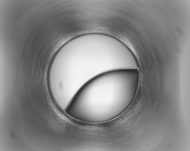 X0000111600389200907161219