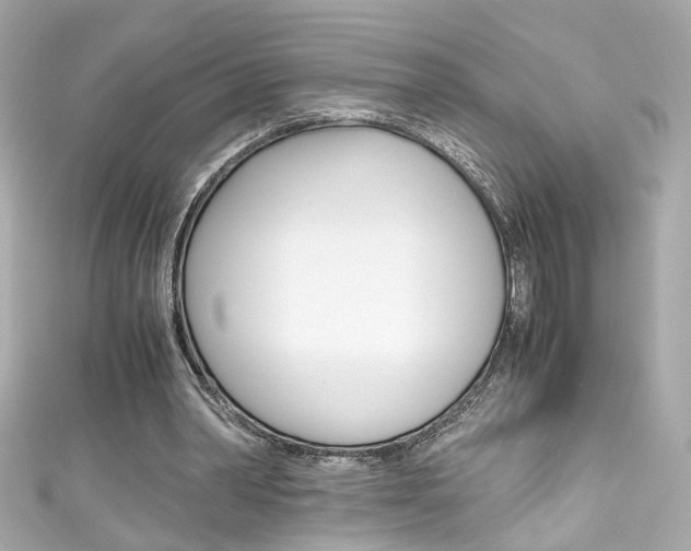 X0000111600390200907161219