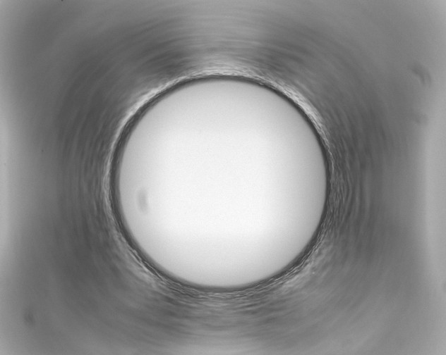 X0000111600391200907161219