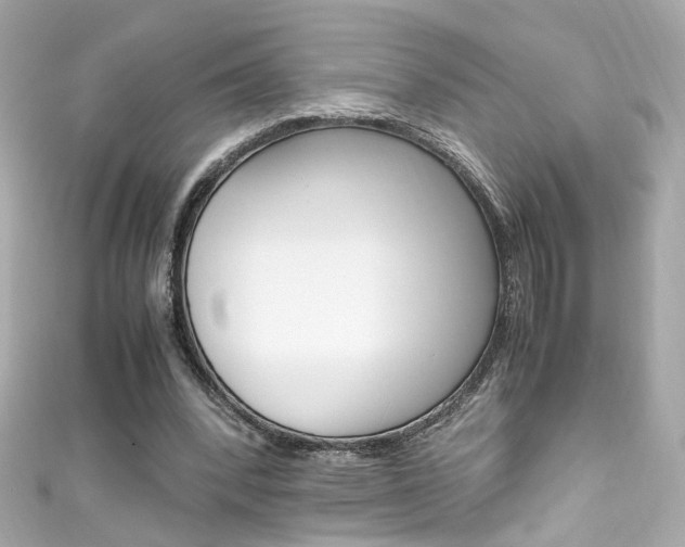 X0000111600392200907161219