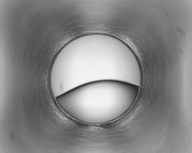 X0000111600393200907161219