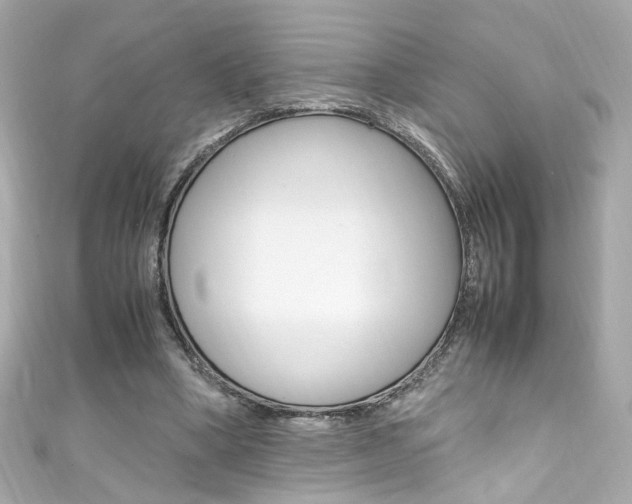 X0000111600394200907161219