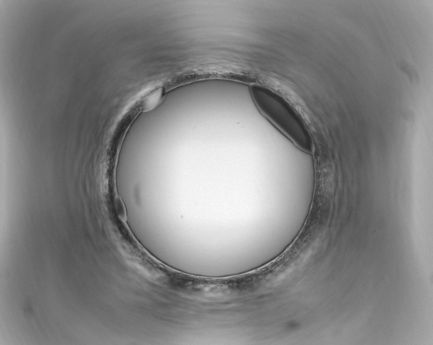 X0000111600395200907161219