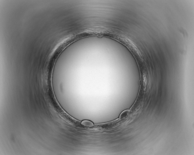 X0000111600396200907161219