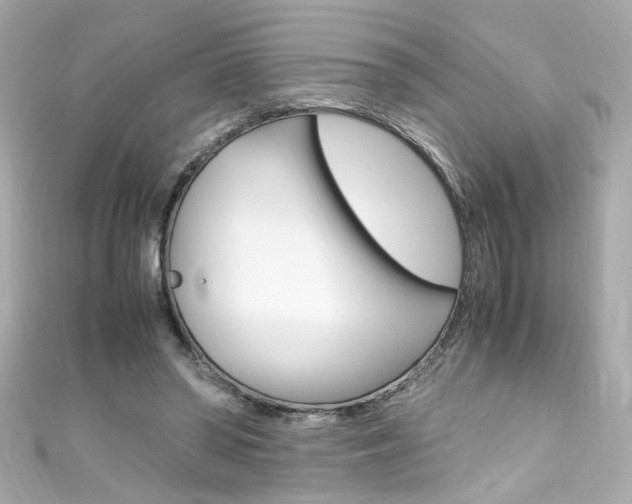 X0000111600398200907161219