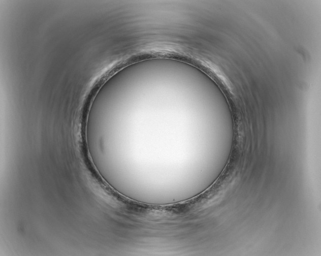 X0000111600399200907161219