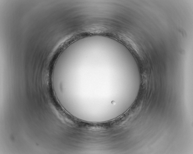 X0000111600400200907161219
