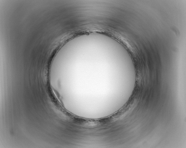 X0000111600402200907161219