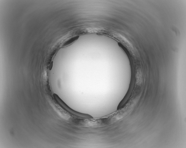 X0000111600405200907161218