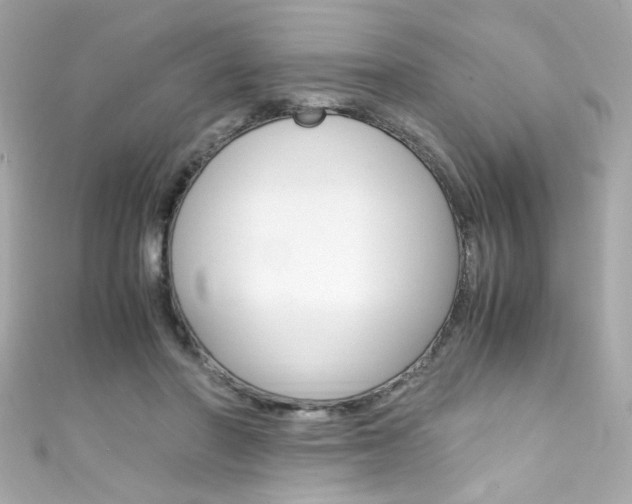 X0000111600406200907161218