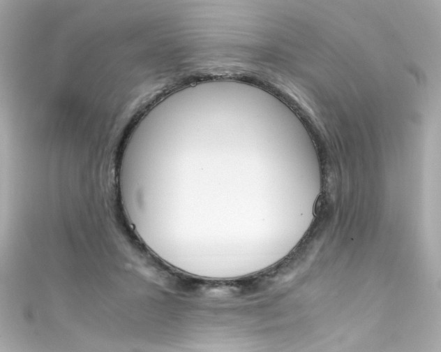 X0000111600407200907161218