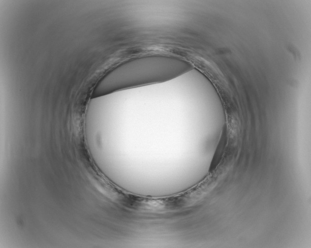 X0000111600409200907161218