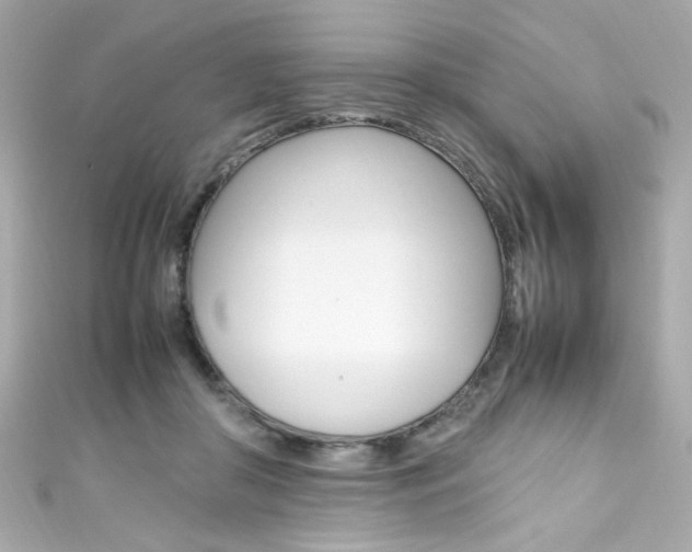 X0000111600410200907161218
