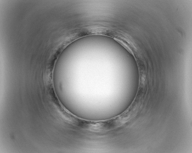 X0000111600411200907161218