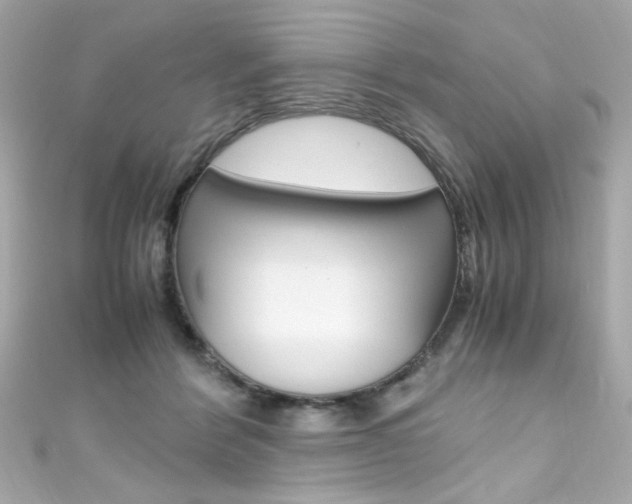 X0000111600412200907161218