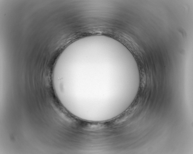 X0000111600414200907161218