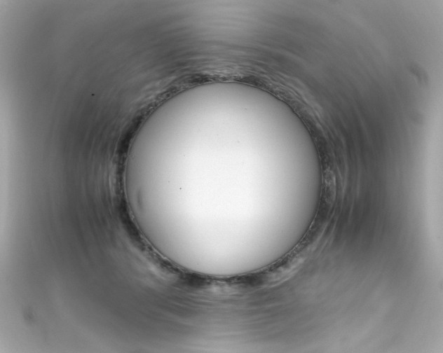 X0000111600416200907161218