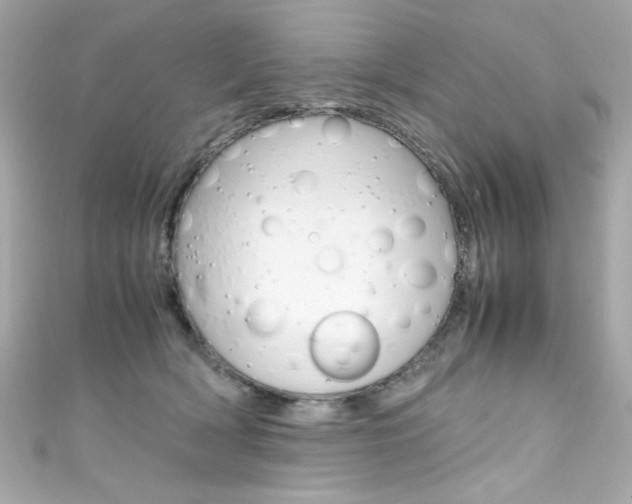X0000111600418200907161218