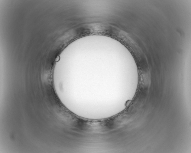 X0000111600419200907161218