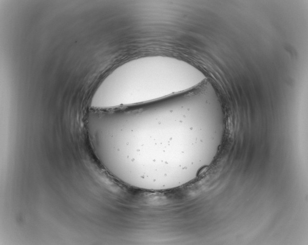 X0000111600424200907161218