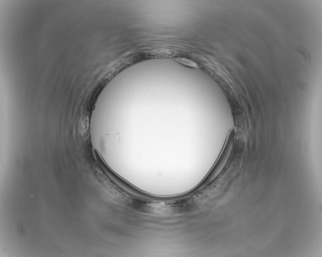 X0000111600425200907161218