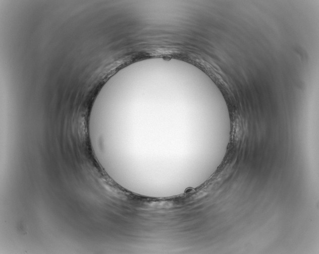 X0000111600426200907161218