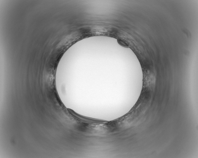 X0000111600427200907161218