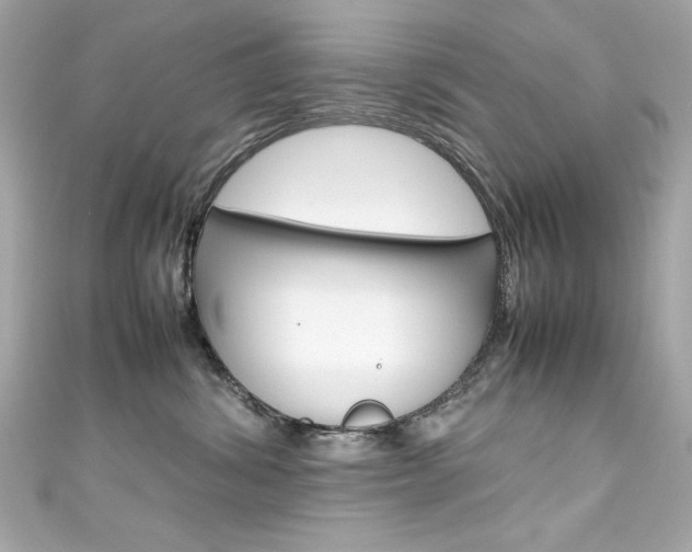 X0000111600428200907161218