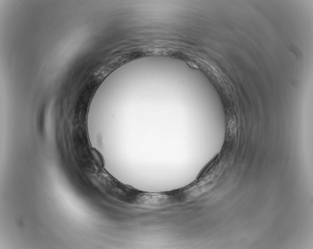 X0000111600429200907161218
