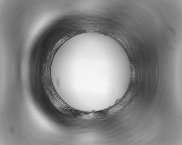X0000111600430200907161218