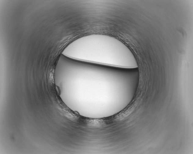 X0000111600432200907161218