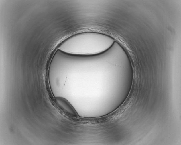 X0000111600434200907161217