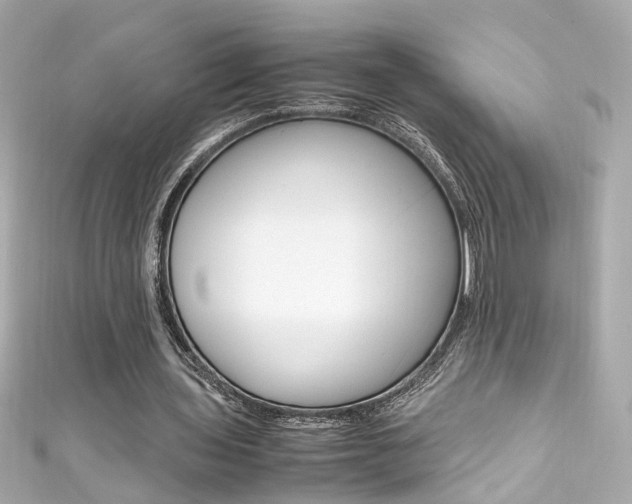 X0000111600435200907161217