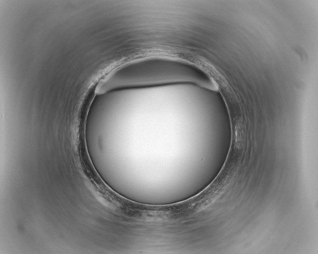 X0000111600436200907161217