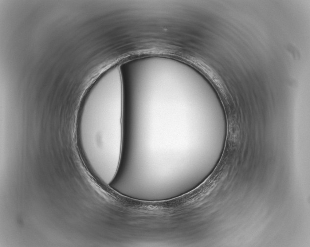 X0000111600437200907161217