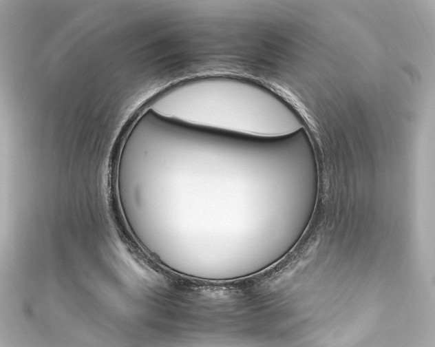 X0000111600439200907161217