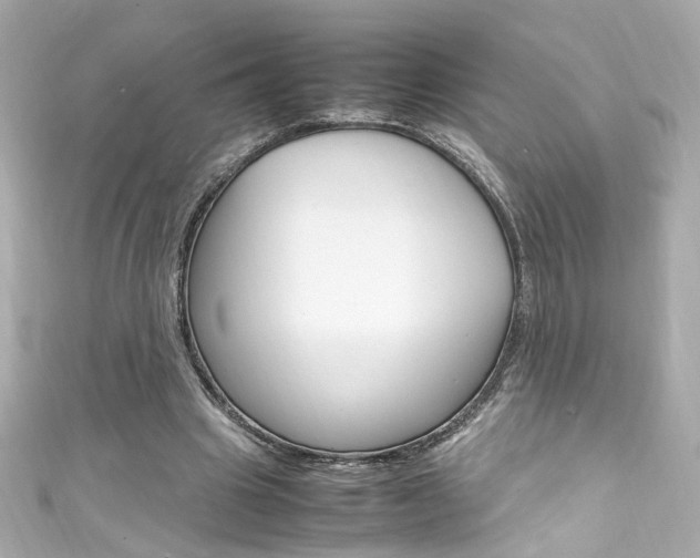 X0000111600441200907161217