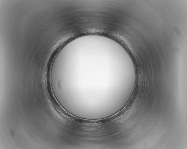 X0000111600443200907161217