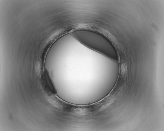 X0000111600444200907161217