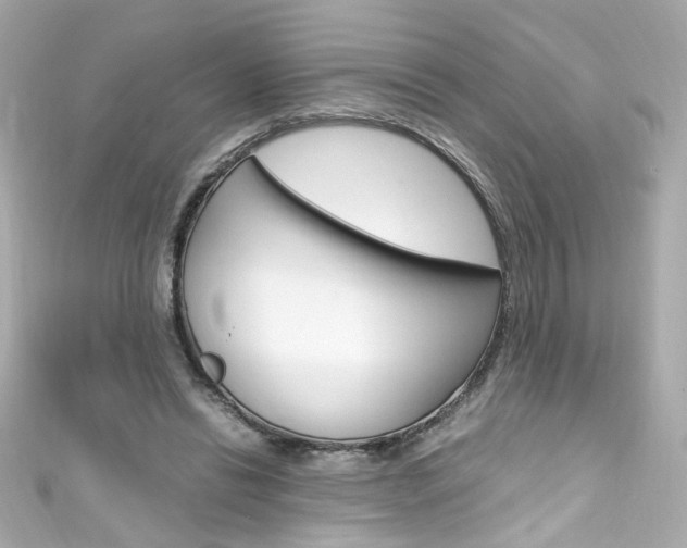X0000111600446200907161217
