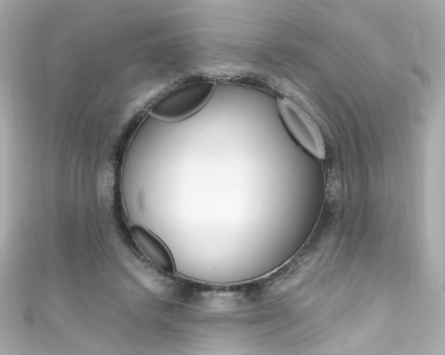 X0000111600448200907161217