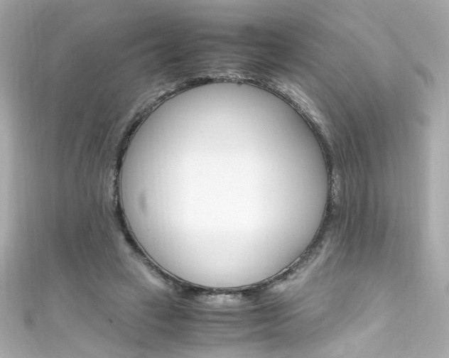 X0000111600449200907161217
