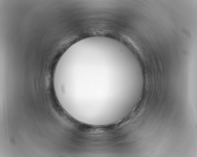 X0000111600451200907161217