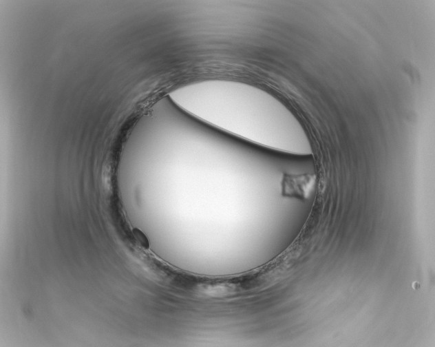X0000111600452200907161217